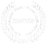 SDVOSB